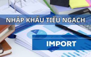 nhập khẩu tiểu ngạch