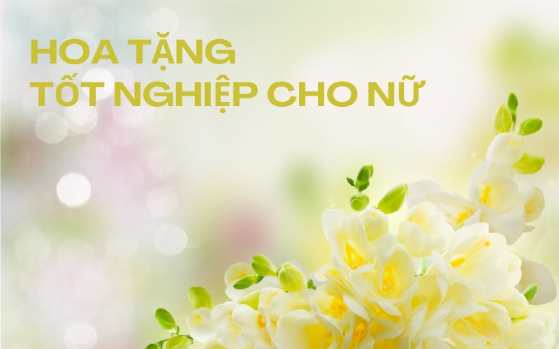 hoa tặng tốt nghiệp cho nữ