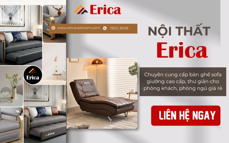 ERICA Việt Nam