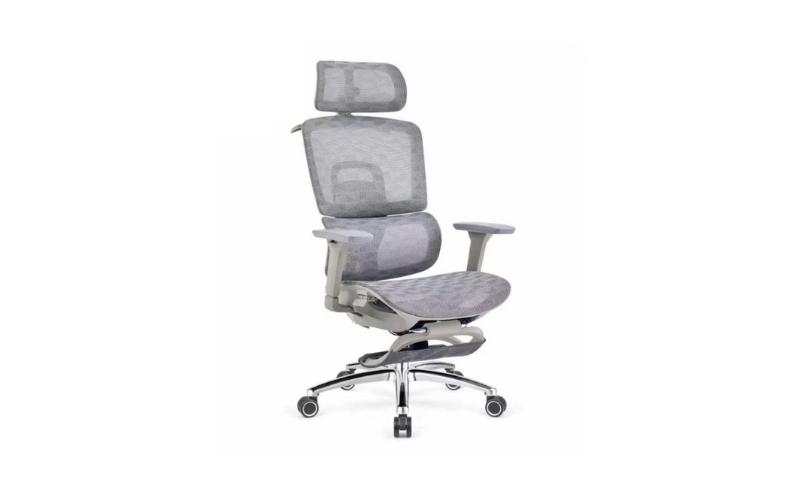 ghế công thái học là gì